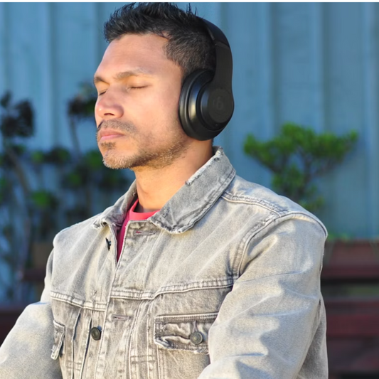 Grounding Visualization Audio Recording