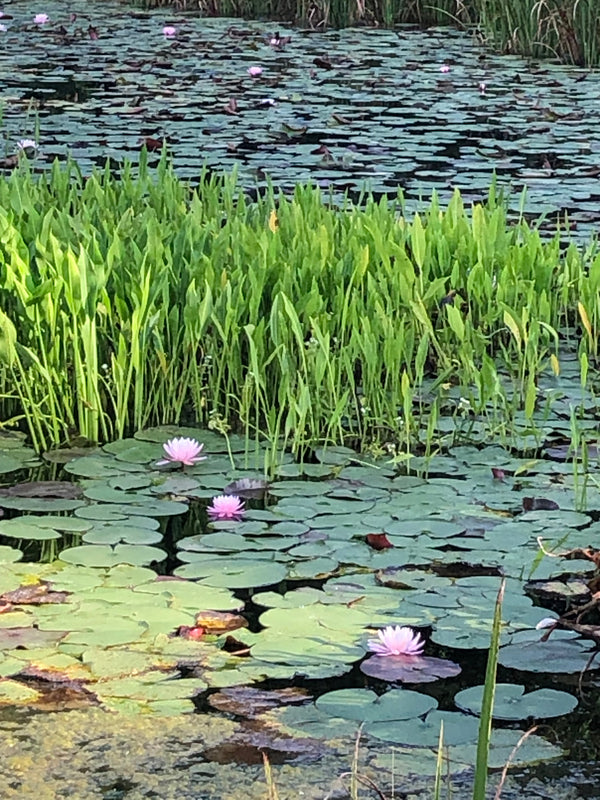 "Source of Stress" Self-Assessment