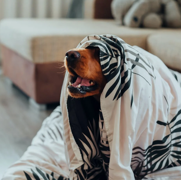 When you just wanna Withdraw