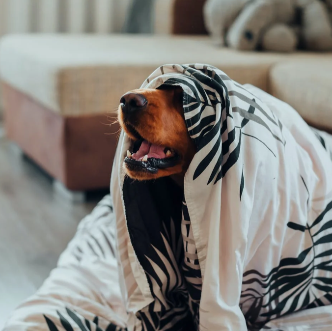 When you just wanna Withdraw