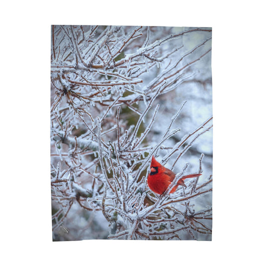 "WINTER CARDINAL"  Graphic -- UltraPlush Blanket