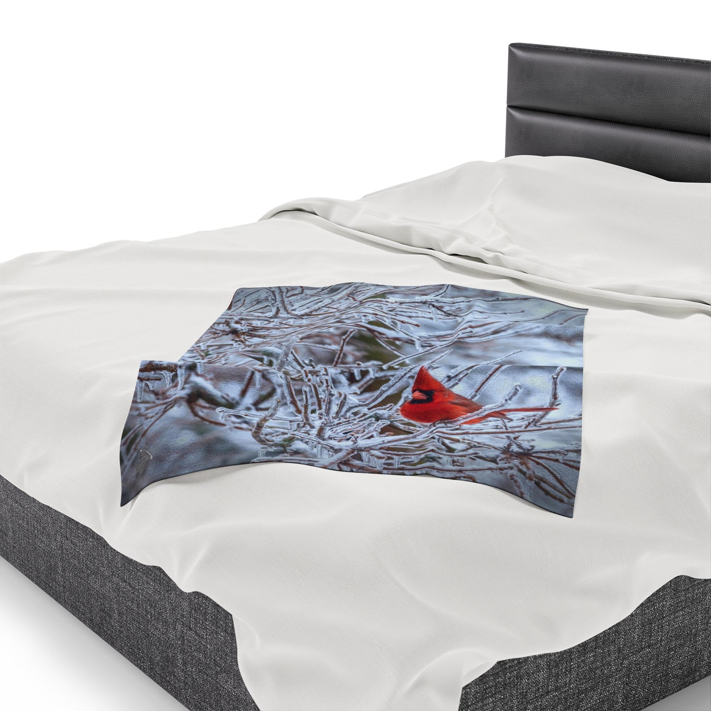 "WINTER CARDINAL"  Graphic -- UltraPlush Blanket