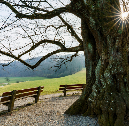 Grounding Visualization Audio Recording